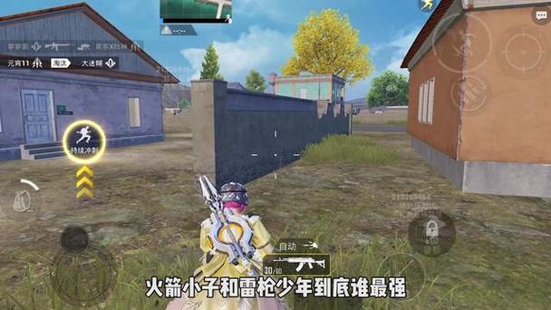 和平挂+锁头+透视+锁血 - 免费实用型战术辅助合集