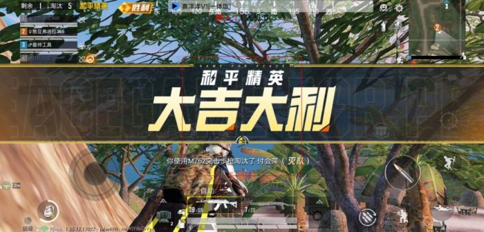 和平精英免费防封软件 - 无门槛直装辅助推荐